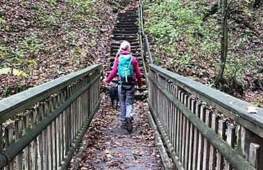 Ferienwohnung Panoramablick Postwiese - Foto 21