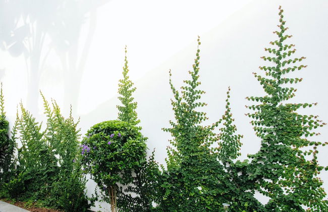 Menlyn Apartments - Foto 62