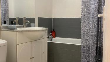 Charmant studio centre-ville Orléans - Foto 5, Shower