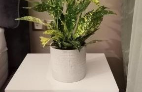 Antony Luxury Suite in Thessaloniki - Foto 31