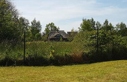 Strandzauber - Foto 5