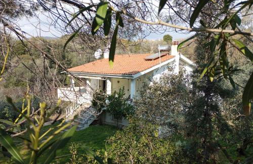 Villa Helga by the Sea - Photo 17