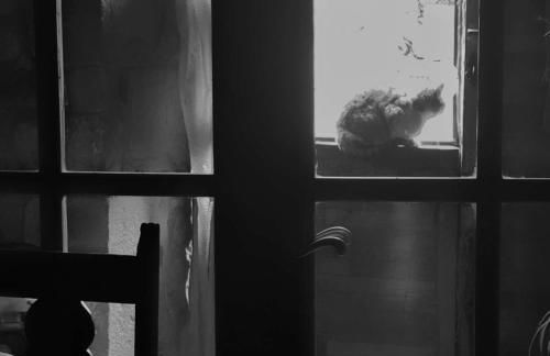 Casa Rural Areano - Foto 96