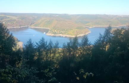 Fewo Zum Sonnenschein - Foto 27