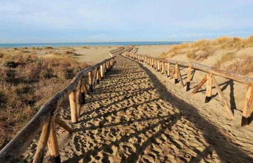 Giuliana's house by the sea in Tuscany - Foto 58