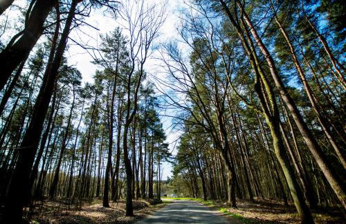 Berezecki Family - Foto 40