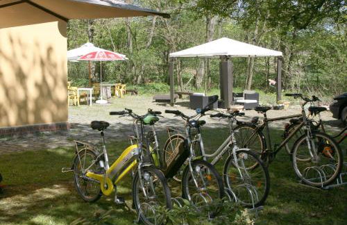 Radstation Menz - Foto 9