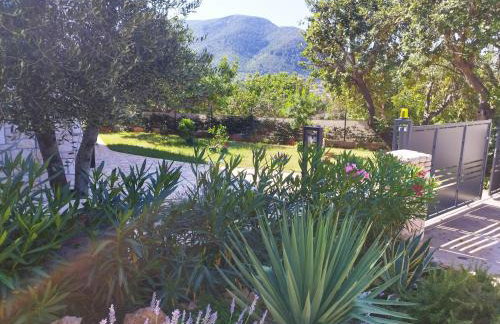 M&D appartments - Photo 8