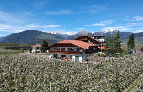 Stoanpeppelehof - Foto 5