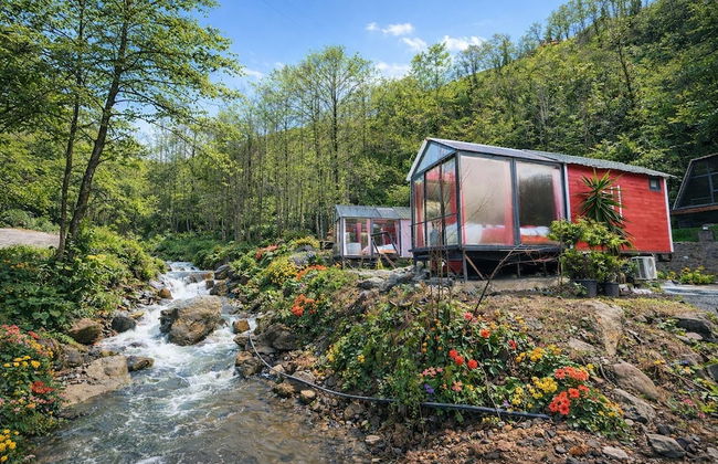 Eça Bungalov - Photo 43