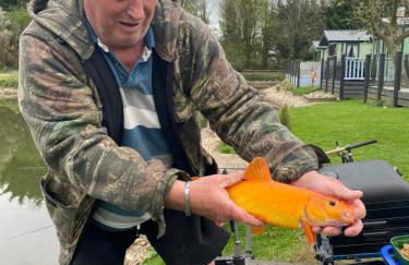 lake view staycations - Foto 23