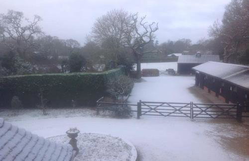 Holmans NEW FOREST - Photo 36