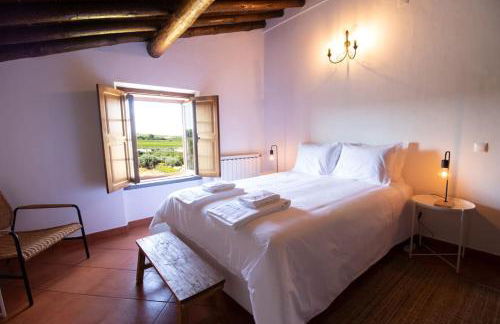 Horta dos Caracóis - Foto 22