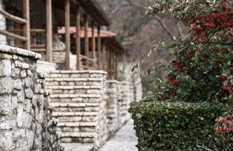 Petrina Theohari - Foto 36