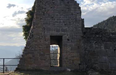 Le Kesbel entre Strasbourg et Colmar en centre Alsace - Foto 28