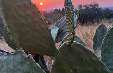 Dream House - Foto 33