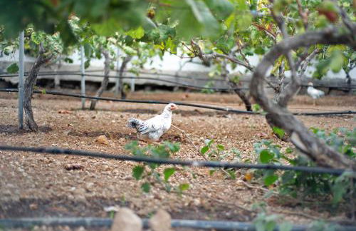 Apartamento las Viñas 1 - Foto 30