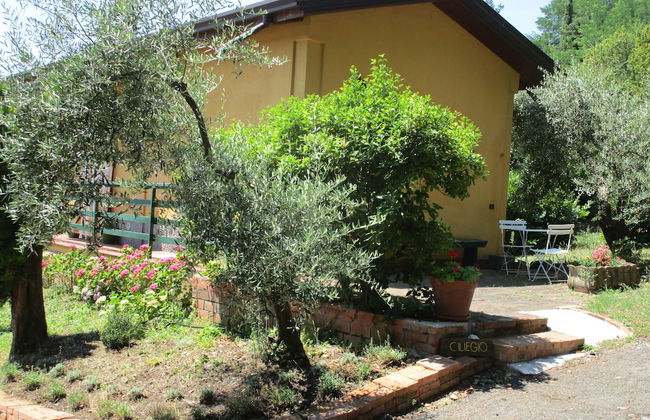 Podere La Piana - Foto 47