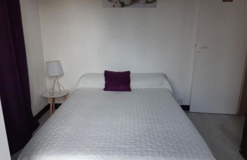 Grande maison avec piscine privée - Foto 11