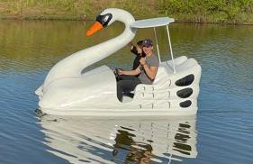 Nega Joana - Foto 30