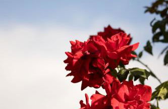 Ferienwohnung Lorenz - Foto 2