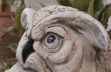 Stella Dei Campi - Foto 57