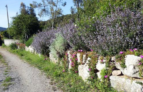 L' Amabile Geko - Foto 16