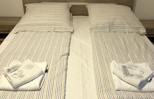 Sahara Falcon - Foto 23