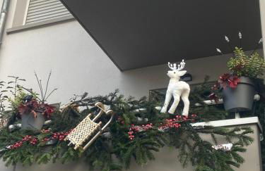 Studio Premium Haguenau cosy, tout équipé, calme, balcon - Photo 9