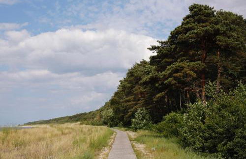 Waldhaus am Meer - Foto 20