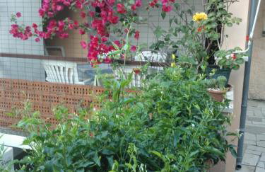 Apartments Anica - Foto 44