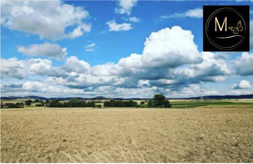 Kleine Sonnenstrahl-Oase - Photo 68