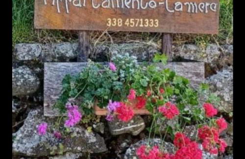 Appartamento DANIELA - Foto 1