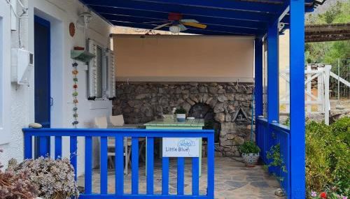 Little Blue - Photo 2