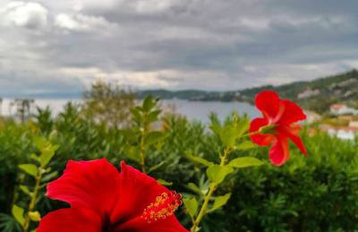 Villa Anna - Foto 66