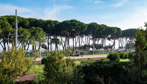 Ficus 3 - Pineto Vacanza - Foto 2