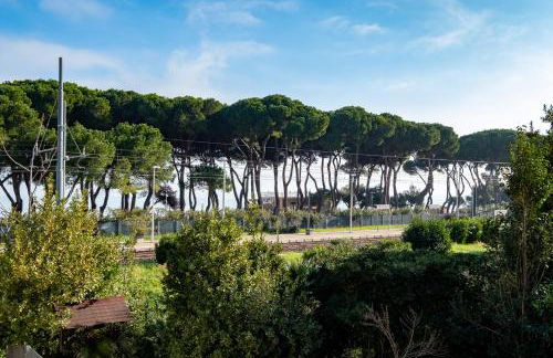 Ficus 3 - Pineto Vacanza - Foto 2