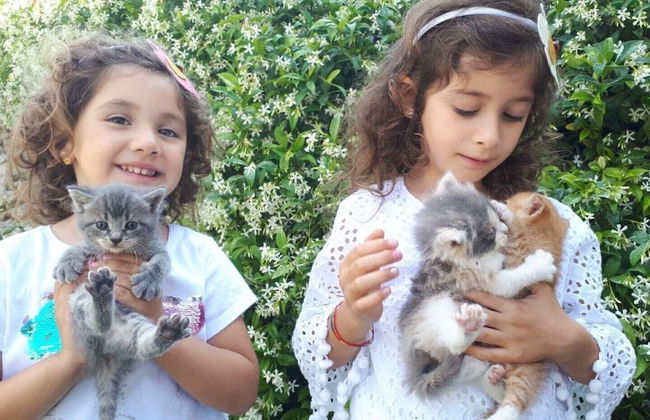 Masseria Costarella - Photo 42