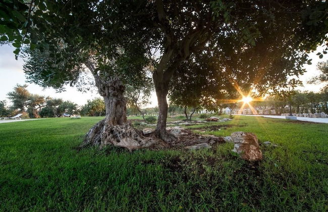 Casale Graffetta - Foto 13