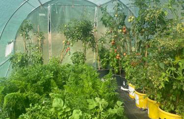 DoWielina - domki wśród natury - Foto 28