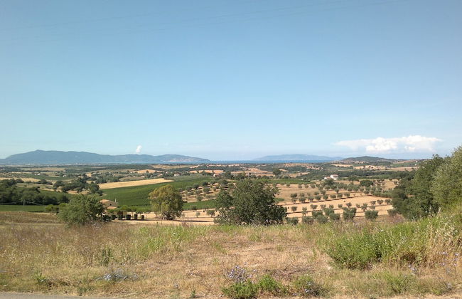 Artemisia negli ulivi B&B - Photo 31