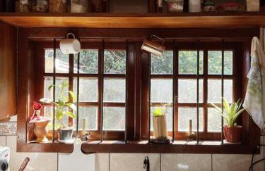 Sítio em área rural, ao pé da Serra Gaúcha. - Foto 11