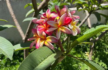 Lugar das Andorinhas - Foto 35