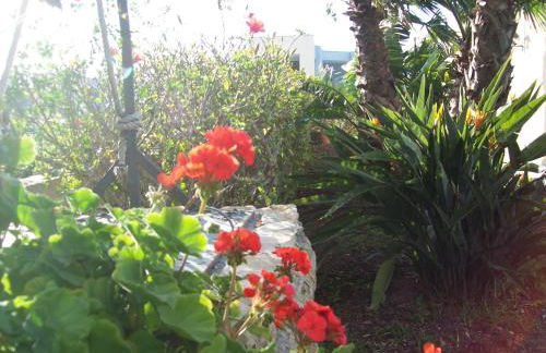 Villa Orchidea -San Lorenzo - Marzamemi - Foto 39