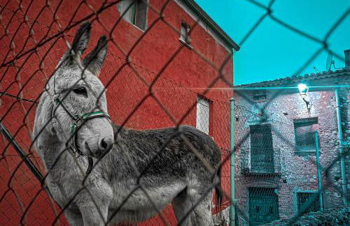 Casa Rural Mayoral (Barriopedro) - Foto 26