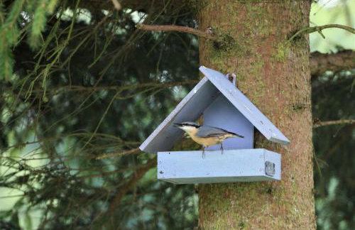 Dom wakacyjny w Kiersztanowie Ładnie Tu - Foto 56