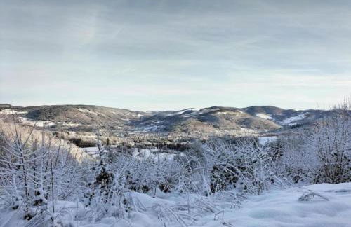 Holiday Home in Vosges with Garden and BBQ - Foto 37