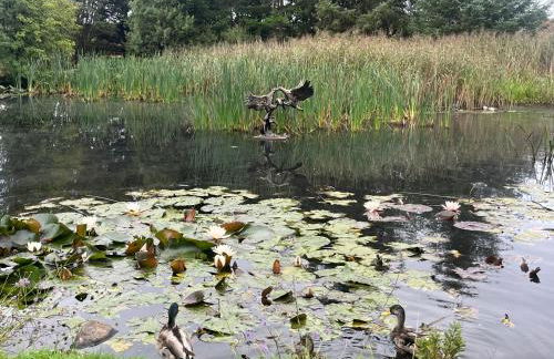 Newton Stewart - Lodge - Sleeps 4 - Garden - Foto 8