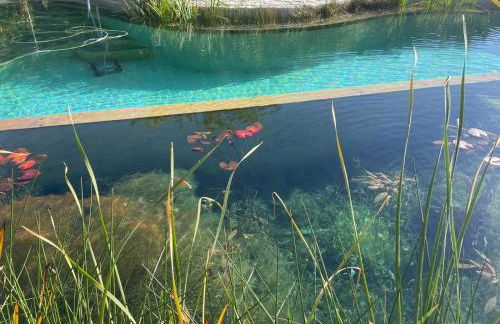 La Calma y La Casita de la Tierra - Foto 46