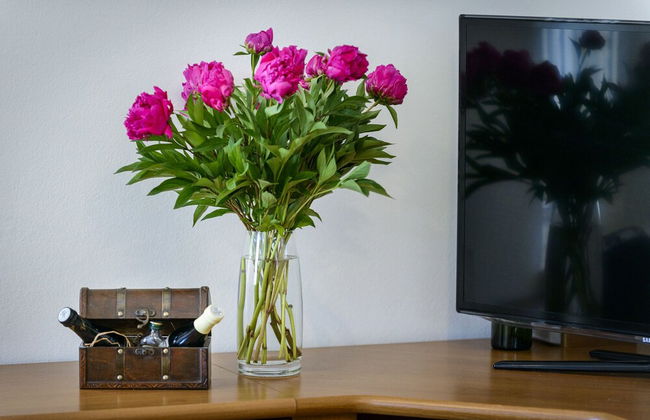 Apartment Tija - Foto 18